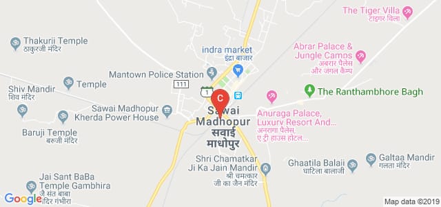 Shahid Captain Ripudaman Singh Govt College, New Colony, Sawai Madhopur, Rajasthan, India