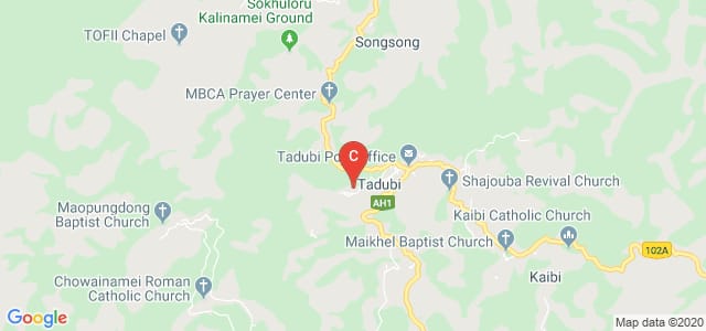 Hill College, National Highway 39, Tadubi Village, Manipur, India