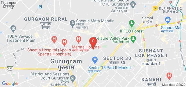 Government College for Girls, Mehrauli-Gurgaon Road, Sector 15 Part 2, Sector 14, Gurugram, Haryana, India