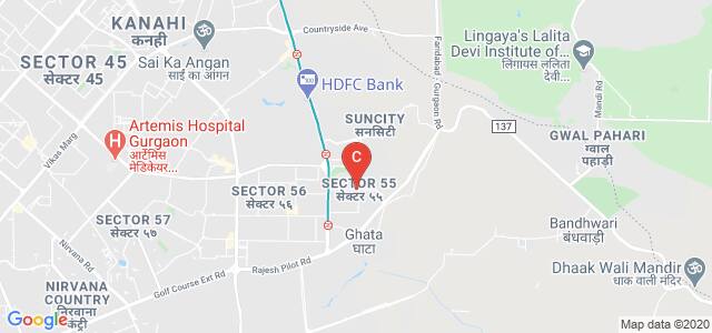 Ansal University Road, Sushant Lok 2, Sector 55, Gurgaon, Haryana, India