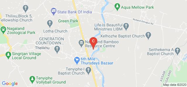 The Global Open University Nagaland, Golaghat, Dimapur, Nagaland, India