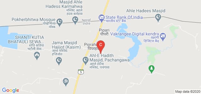 Siddharth University, Kapilvastu, Siddharth Nagar, Kapilavastu Road, Pachangawa, Siddharthnagar, Uttar Pradesh, India