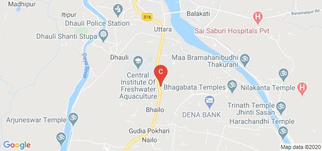 Krupajal Business School, Jagannath Sadak, Kausalya Ganga, Uttara, Odisha, India