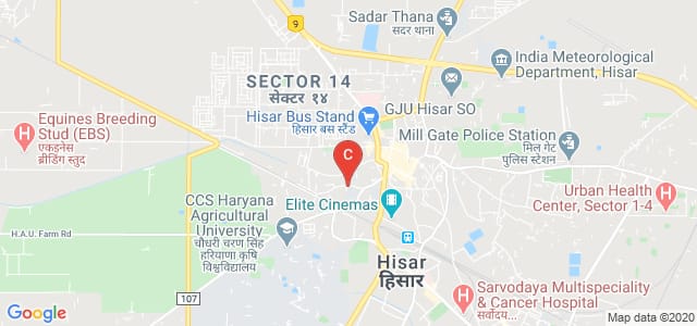 Dayanand College, Aggarwal Colony, Hisar, Haryana, India