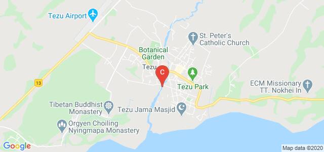 Denning College Of Teachers Education., Telluliang, Tezu, Arunachal Pradesh, India