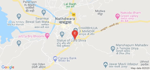 Seth Mathuradas Binani Government College, Udaipur Road, Nathdwas, Nathdwara, Rajasthan, India