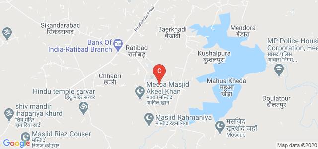 Radharaman College of Pharmacy, Ratibad, Madhya Pradesh, India