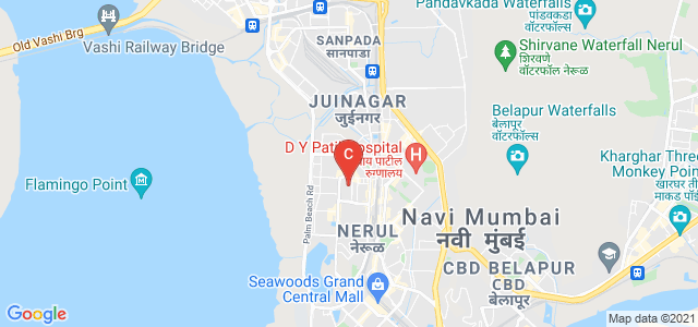 Terna Physiotherapy College, Dharshana Society, Sector 12, Nerul, Navi Mumbai, Maharashtra, India