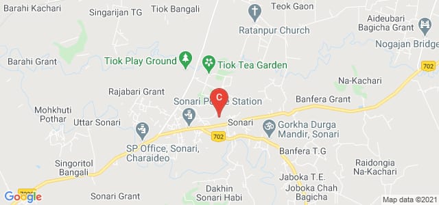 Sonari Commerce College, Dhodar Ali Road, Sonari, Assam, India