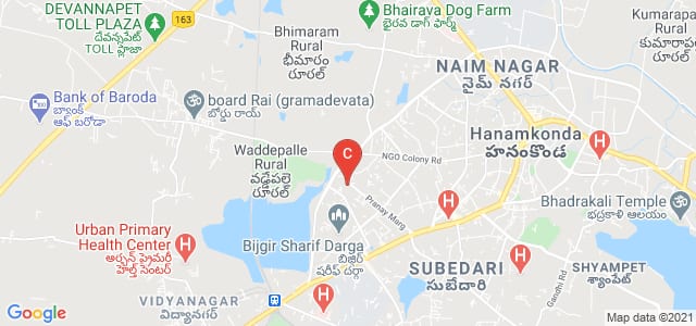 Pingle Government Degree College for Women, Waddepally, Wadepally, Hanamkonda, Telangana, India
