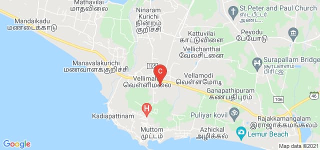 St. John's College of Arts and Science, State Highway 46, Ammandivilai, Tamil Nadu, India