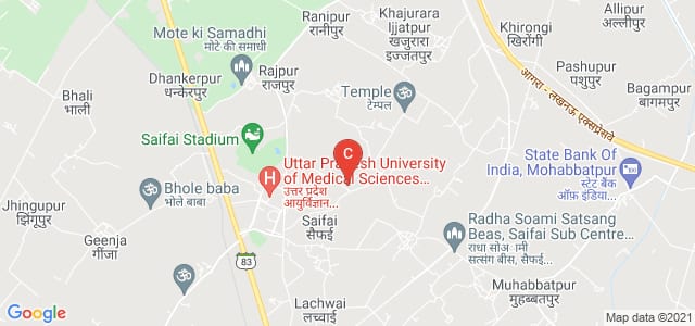 Pharmacy College Saifai, Uttar Pradesh University of Medical Sciences, Saifai, Uttar Pradesh, India