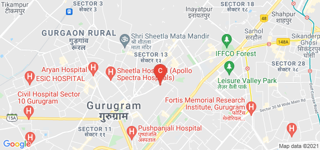Government College for Girls, Mehrauli-Gurgaon Road, Sector 15 Part 2, Sector 14, Gurugram, Gurgaon, Haryana, India