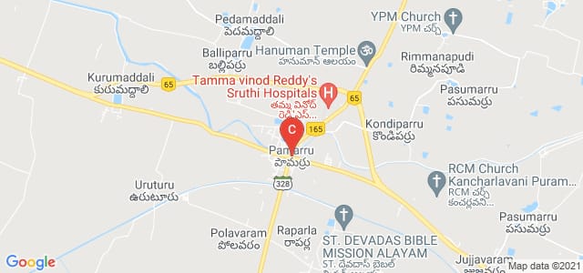 Pamarru, Andhra Pradesh, India