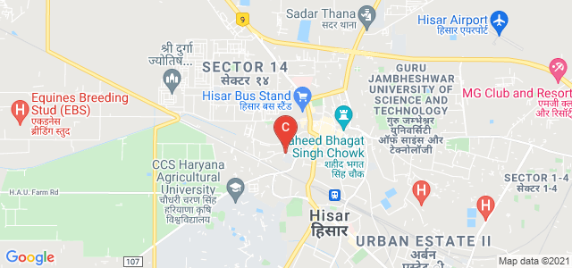 Dayanand College, Aggarwal Colony, Hisar, Haryana, India