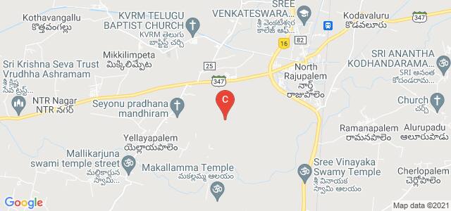 Nellore, Andhra Pradesh 524366, India