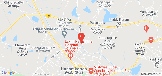 Hanamkonda - Pegadapally Rd, Sagara Colony, Hanuman Nagar, Hanamkonda, Telangana, India