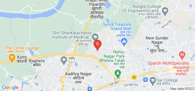 Shri Shankracharya Technical Campus, Junwani, Smriti Nagar, Bhilai, Chhattisgarh, India