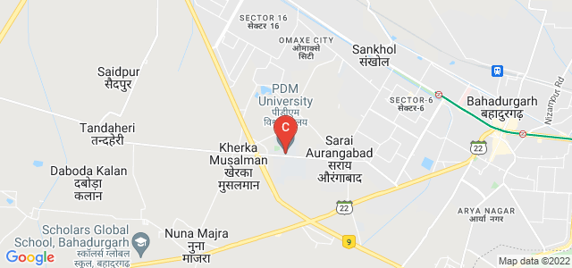 PDM University, Sector 3A, Bahadurgarh, Haryana, India