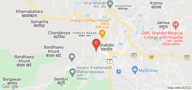 Pandit SN Shukla University Shahdol, MPEB Colony, Shahdol, Madhya Pradesh, India