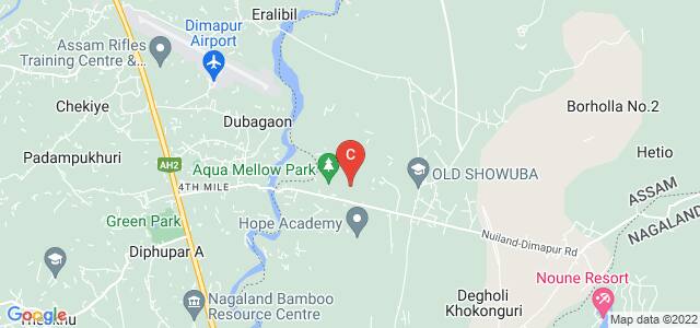 C-EDGE COLLEGE, Niuland-Dimapur Road, Naga United Village, Dimapur, Assam, India