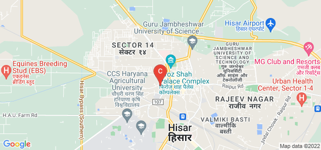 F C College For Women, Mohna Mandi, Aggarwal Colony, Hisar, Haryana, India