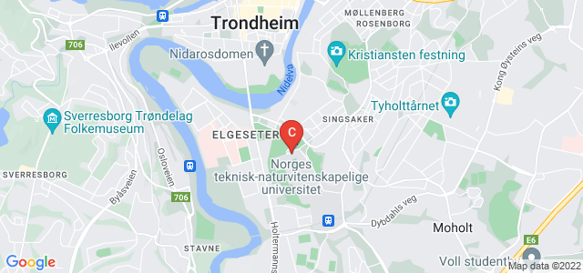 Norges teknisk-naturvitenskaplige universitet, Høgskoleringen, Trondheim, Norway