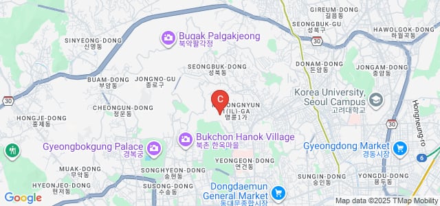 Sungkyunkwan University, Sungkyunkwan-ro, Myeongnyun 3(sam)ga-dong, Jongno-gu, Seoul, South Korea