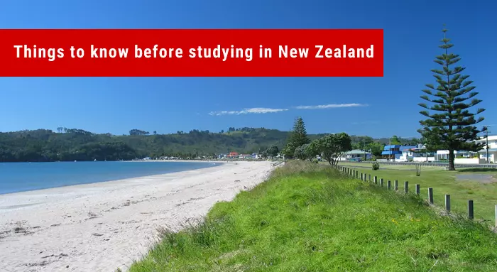 7 Things to know before studying in New Zealand - Accomodation, Insurance, Work Oppurtunities