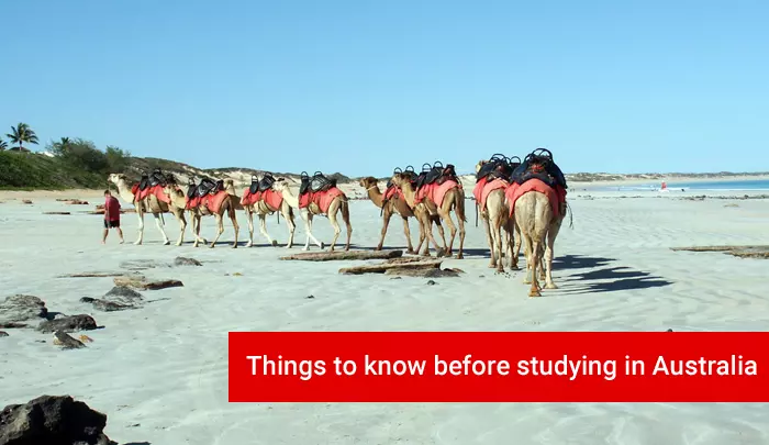 Things to know before studying in Australia