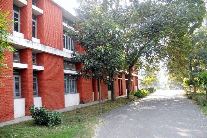 Government Ayurved Medical College, Patiala, Punjab