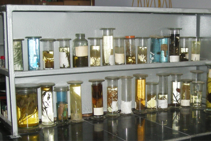 laboratory