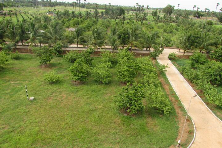 campus-view