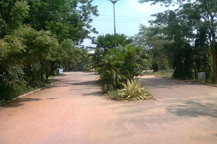 campus-view