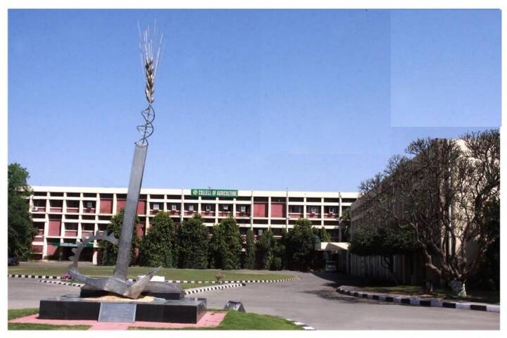 campus-view