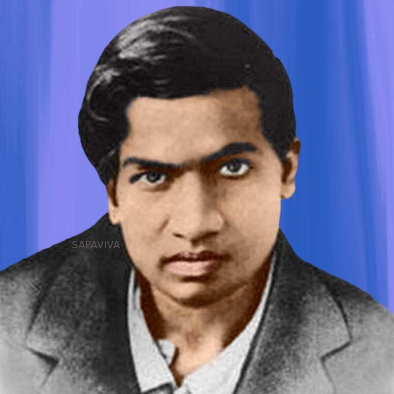 Srinivasa Ramanujan Essay