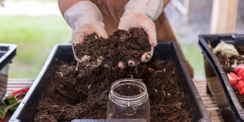 Vermiculturist