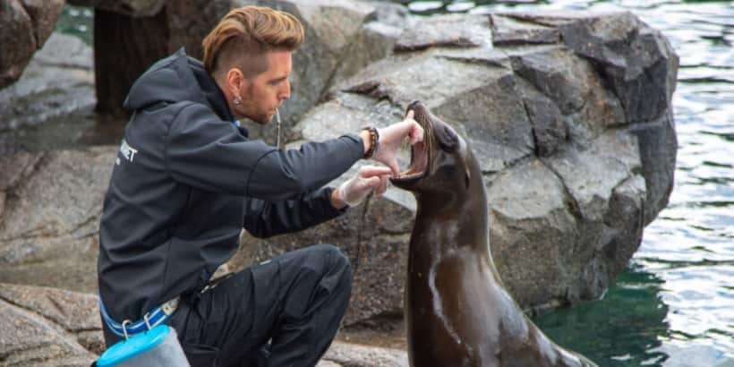 Average Salary Of A Zookeeper Uk