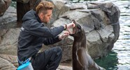 How To Become A Zookeeper Salary Qualification Skills Role And 