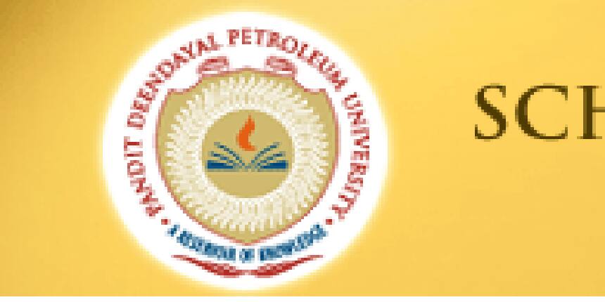 MBA/ PGDPMX 2013 at SPM, Pandit Deendayal Petroleum University