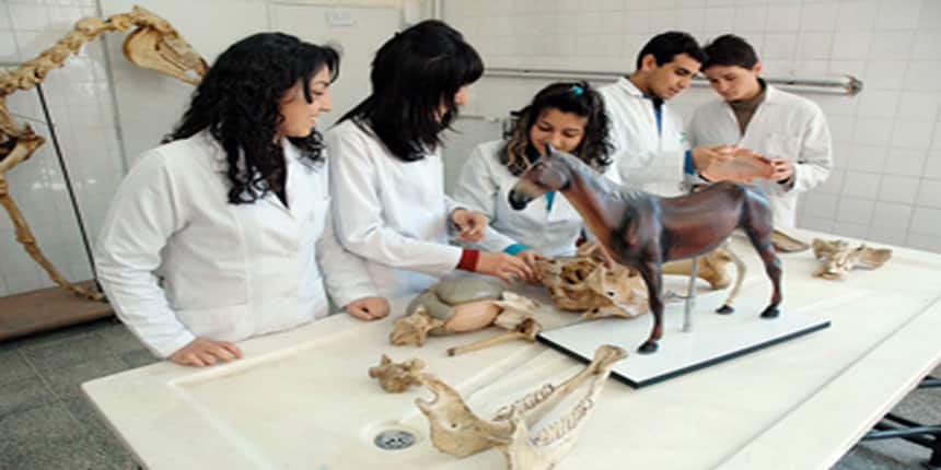 Veterinary Science