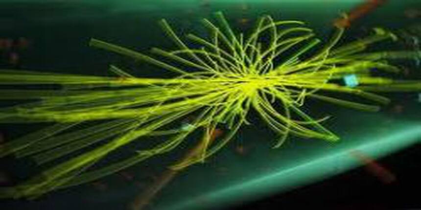 Edinburgh University Offers Free Online Higgs Boson Course