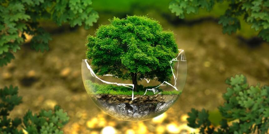 Masters in Environmental Engineering: What, Where and How