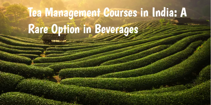 Tea Management Courses in India: A Rare Option in Beverages