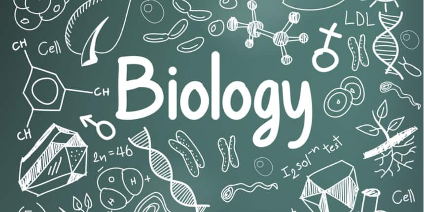 NCERT Solutions for Class 12 Biology - Chapter wise Solutions