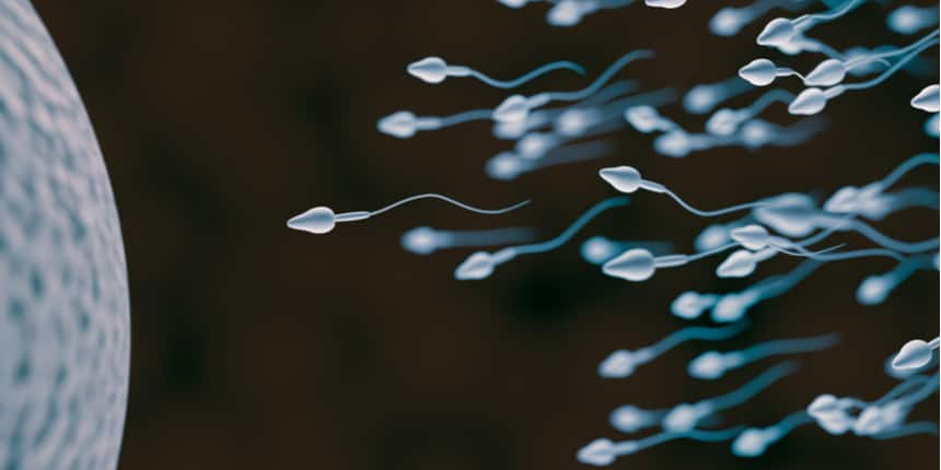 NCERT Solutions for Class 10 Science Chapter 8 How do Organisms Reproduce?