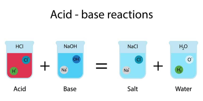 NCERT Solutions for Class 10 Science Chapter 2 Acids, Bases, and Salts