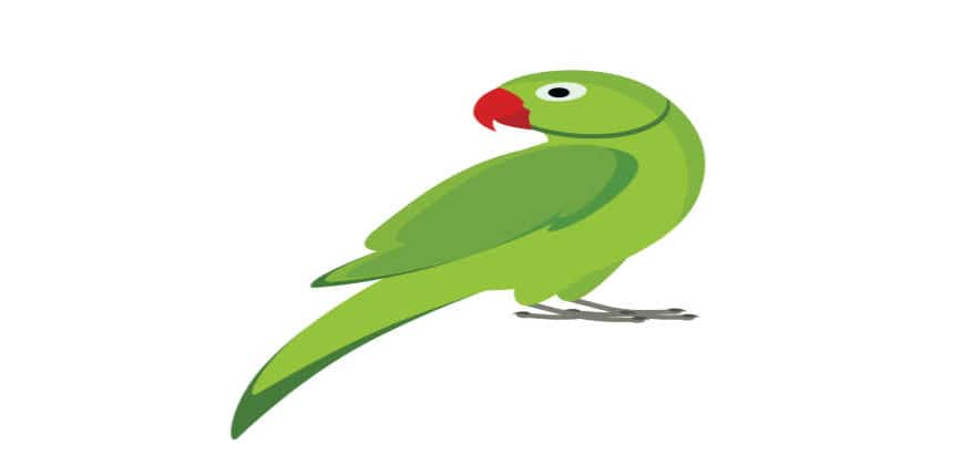 essay on parrot