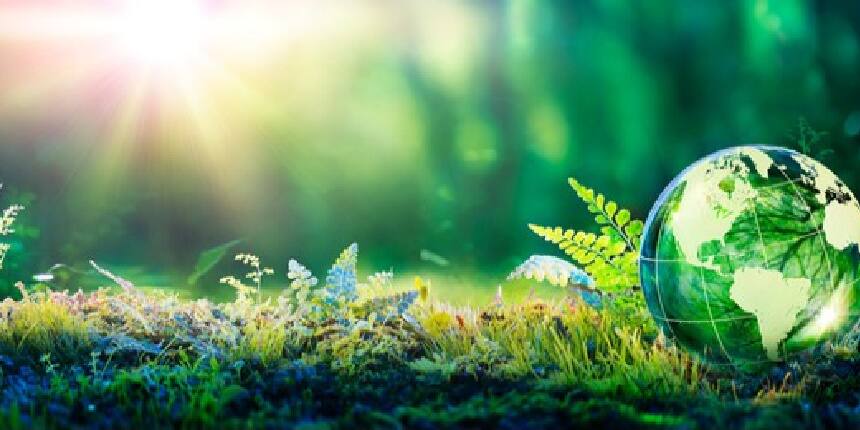 NCERT Solutions for Class 12 Biology Chapter 14 Ecosystem