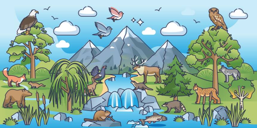 NCERT Solutions for Class 12 Biology Chapter 13 Organisms and Populations